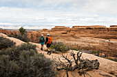 Hikers in rocky landscape