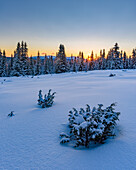 Winterlandschaft bei Sonnenaufgang