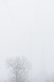 Electricity pylon in fog