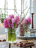 Pink hyacinths in vase
