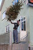 Man throwing Christmas tree after Christmas