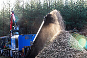 Wood chips spewing from wood chipper