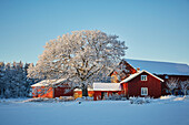 Falun red houses in winter scenery