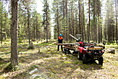 Lumberjack logging logs