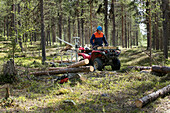 Lumberjack in forest