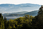 Mountain landscape