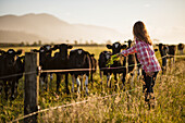 Girl at cow pasture