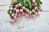 Pink tulips on table