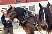 Woman with horse