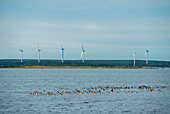 Windturbinen auf dem Meer