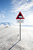 Polar bear warning sign in winter landscape