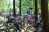 Bikes in forest parking