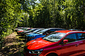 Line of cars in forest parking
