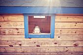 Small girl looking through window of wooden hut