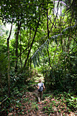 Frau beim Wandern im Dschungel