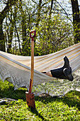 Person resting in hammock