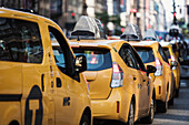 Row of yellow cabs on city street