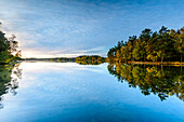 Trees reflecting in water