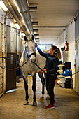 Woman taking care of horse