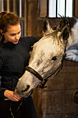 Woman taking care of horse