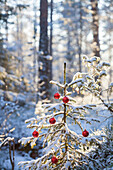 Mit Weihnachtskugeln geschmückter Tannenbaum im Wald