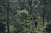 Man hiking in forest