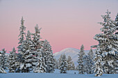 Winterlandschaft bei Sonnenuntergang