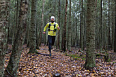 Mann rennt im Wald