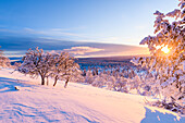 Winter landscape at sunset