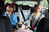 Kinder mit Hund im Auto