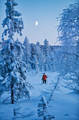 Nordic Walking im Winter