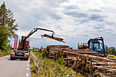 Loading logs