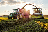 Combine harvester in field