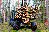 Logs on truck