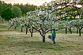 Mädchen im blühenden Obstgarten