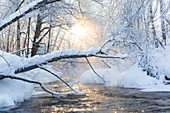 Fluss im Winterwald