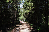 People cycling through forest