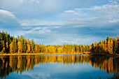 Herbstwald mit Spiegelung im See