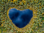 Heart-shaped lake surrounded by forest