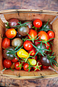 Colorful tomatoes in basket