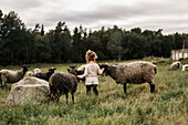 Girl on meadow