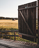 View of wheat field