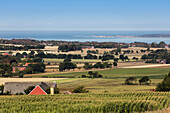 Landschaft an der Küste