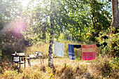 Wäsche hängt im Garten