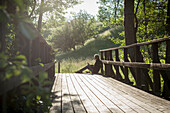 Frau sitzt auf einer Holzbrücke
