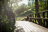 Woman sitting on wooden bridge