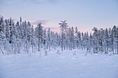 Winter landscape at sunset