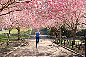 Frau läuft unter blühenden Bäumen