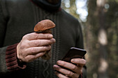 Hände halten Pilz und Mobiltelefon