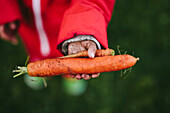 Mädchen halten Karotten in der Hand